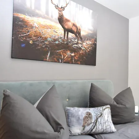 Spacious Holiday With Private Terrace Holiday home Hasselfelde